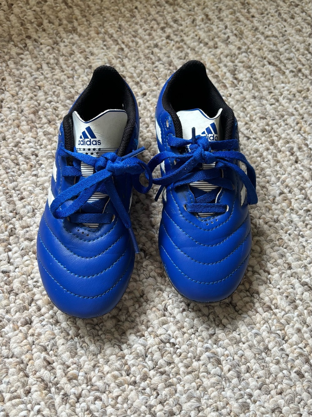 adidas Kids Royal Blue Soccer Cleats